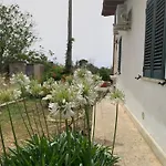 Εξοχικό σπίτι N Celi *