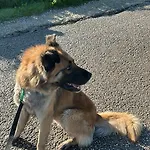Εξοχικό σπίτι N Celi