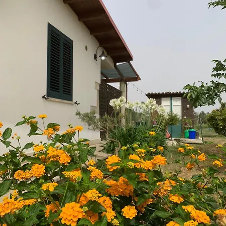N Celi Country house *